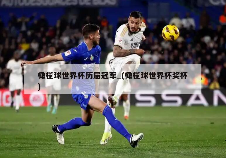 橄榄球世界杯历届冠军_(橄榄球世界杯奖杯)