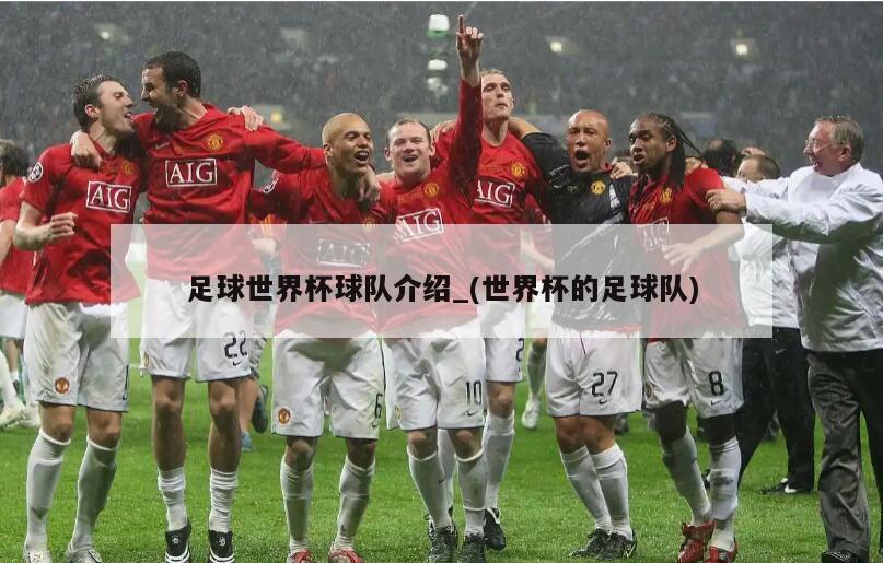 足球世界杯球队介绍_(世界杯的足球队)
