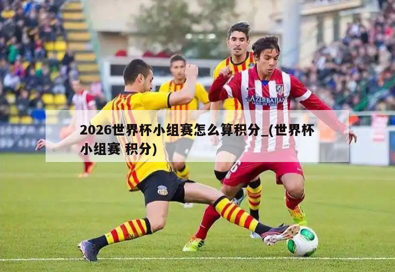 2026世界杯小组赛怎么算积分_(世界杯小组赛 积分)