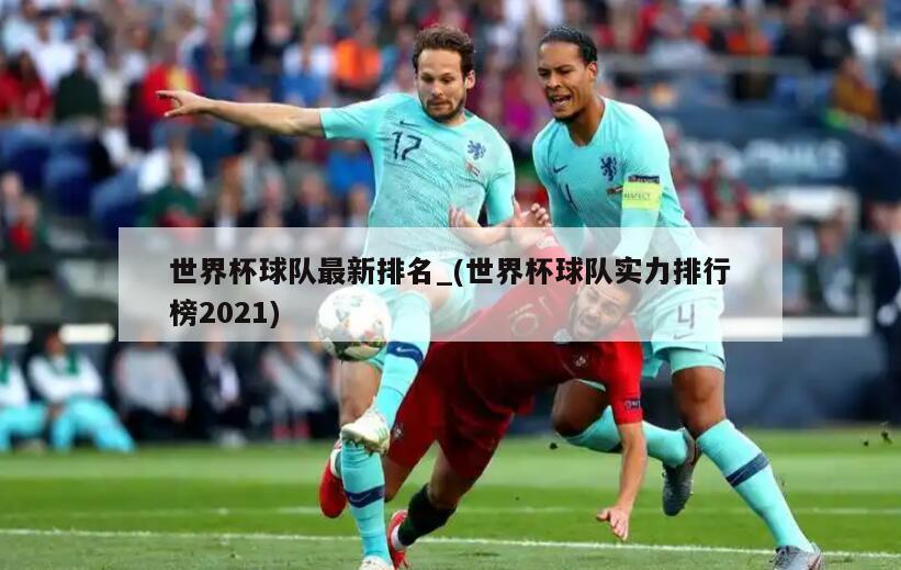 世界杯球队最新排名_(世界杯球队实力排行榜2021)