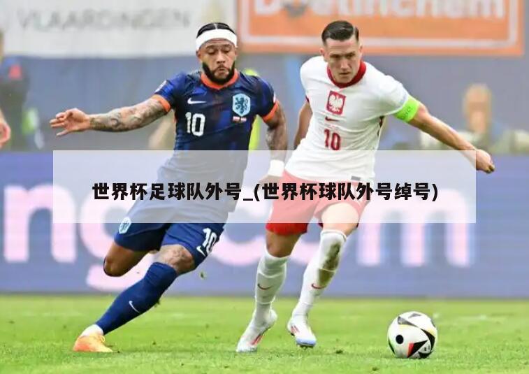 世界杯足球队外号_(世界杯球队外号绰号)