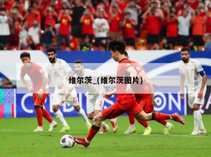 维尔茨_(维尔茨图片)