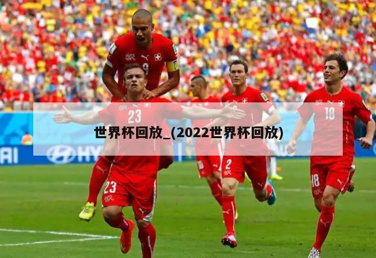 世界杯回放_(2022世界杯回放)