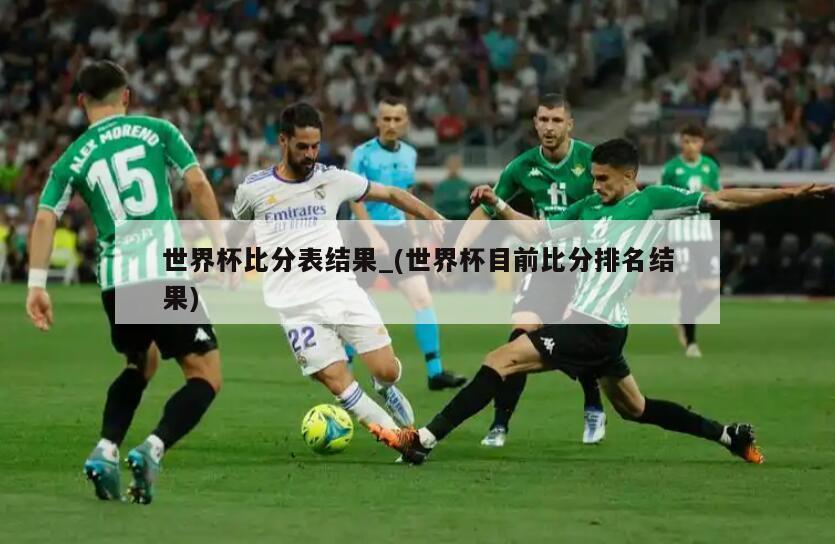 世界杯比分表结果_(世界杯目前比分排名结果)