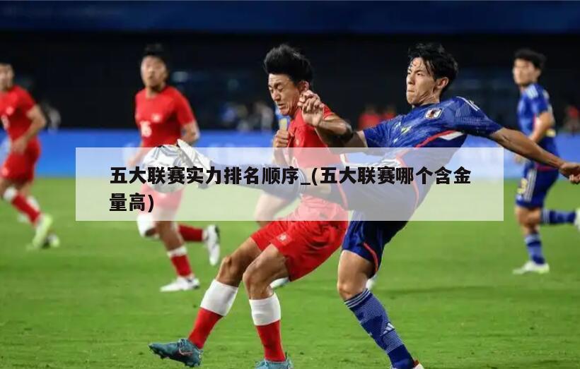 五大联赛实力排名顺序_(五大联赛哪个含金量高)